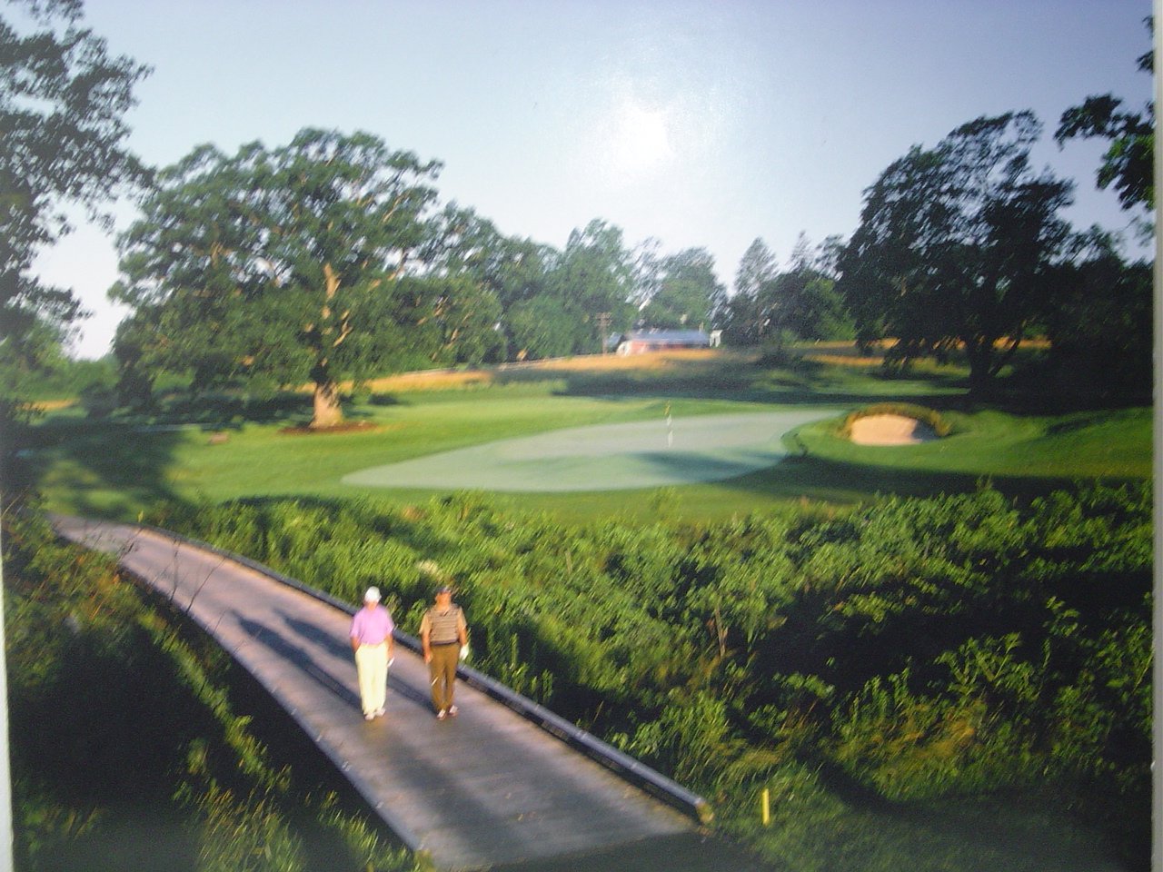 golfbridge.jpg