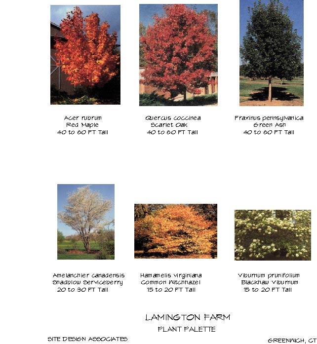 webassets/LamingtonPlantPalette.jpg